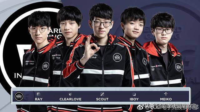 毛球的光辉 毛球的光辉