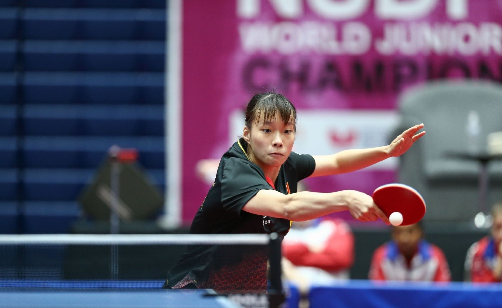 典型回合 典型回合